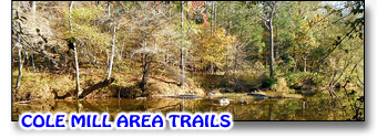 Cole Mill Area Trails on the Eno River